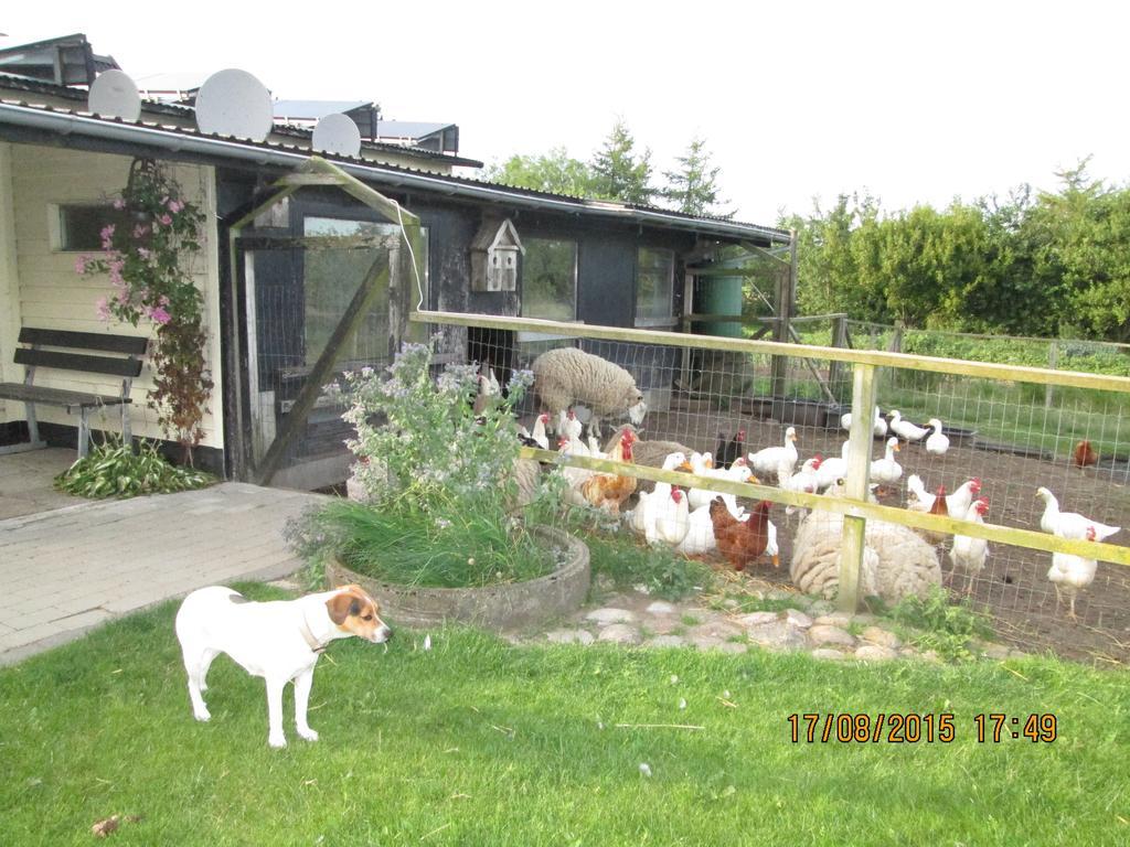 Bakkegarden Homestay Spottrup エクステリア 写真
